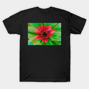 Dahlia, Dahlia, abstract, colorful, flower, bloom T-Shirt